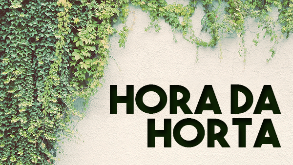 Horta