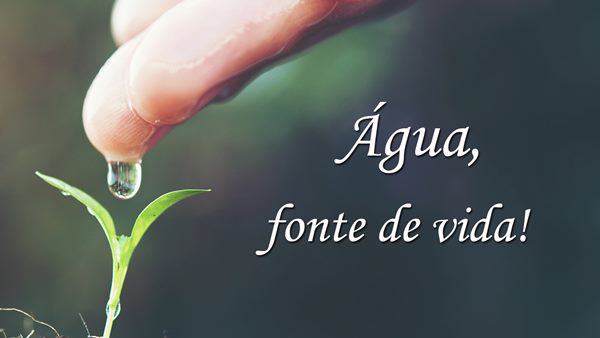 Dia Mundial da Agua
